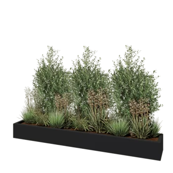 Fibreglass planter - Rectangle - 200 x 30 x 20 cm - RAL7021 matt (black grey) - With bottom