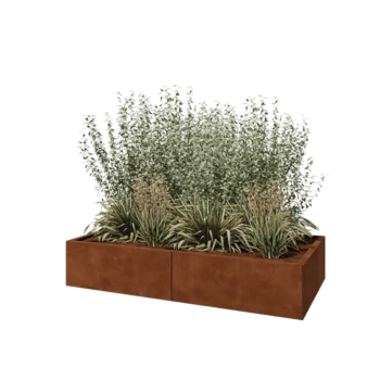Corten steel planter XXL - Rectangle - 160 x 80 x 30 cm - Without bottom plate