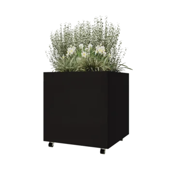 Steel planter - Square - 80 x 80 x 80 cm - RAL9005 matt (black) - With bottom plate - With wheels