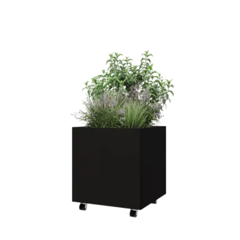Steel planter - Square - 60 x 60 x 60 cm - RAL9005 matt (black) - With bottom plate - With wheels