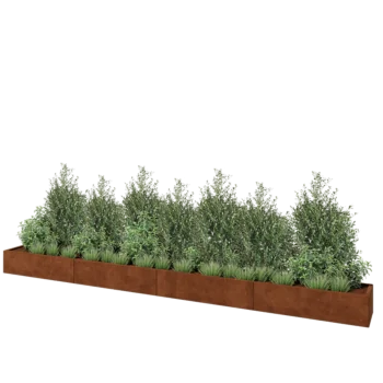 Corten steel planter XXL - Rectangle - 480 x 40 x 30 cm - With bottom plate
