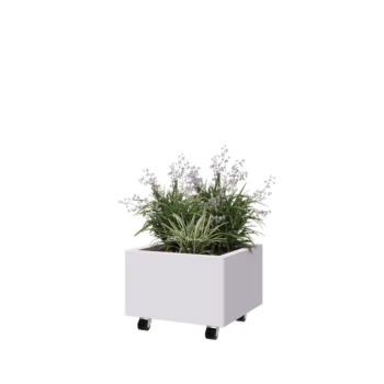 Steel planter - Square - 50 x 50 x 30 cm - RAL9005 matt (white) - With bottom plate - With wheels