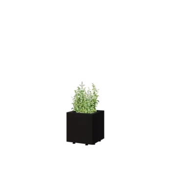 Steel planter - Square - 30 x 30 x 30 cm - RAL9005 matt (black) - With bottom plate - With legs