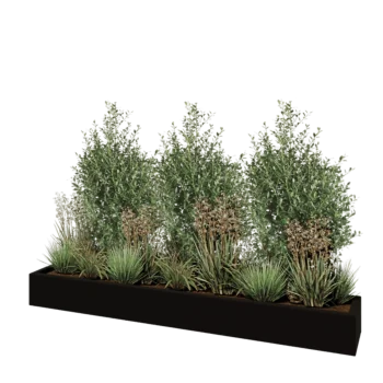 Fibreglass planter - Rectangle - 200 x 30 x 20 cm - RAL9005 matt (black) - With bottom