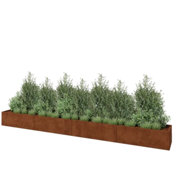Corten steel planter XXL - Rectangle - 480 x 50 x 40 cm - With bottom plate
