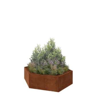 Corten steel planter - Hexagon - 159,3 x 138,6 x 40 cm - Without bottom plate