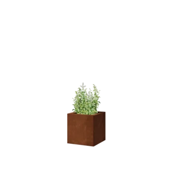 Corten steel planter - Square - 30 x 30 x 30 cm - With bottom plate