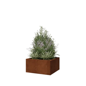 Corten steel planter - Square - 60 x 60 x 30 cm - Without bottom plate