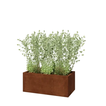 Corten steel planter - Rectangle - 100 x 50 x 40 cm - With bottom plate