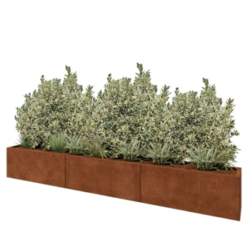 Corten steel planter XXL - Rectangle - 300 x 30 x 40 cm - Without bottom plate