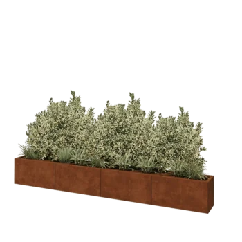 Corten steel planter XXL - Rectangle - 320 x 30 x 40 cm - Without bottom plate