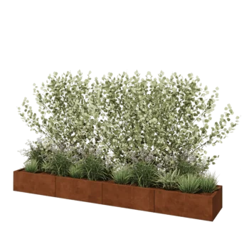 Corten steel planter XXL - Rectangle - 320 x 50 x 30 cm - Without bottom plate