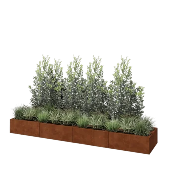 Corten steel planter XXL - Rectangle - 320 x 60 x 30 cm - Without bottom plate