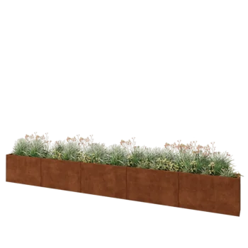 Corten steel planter XXL - Rectangle - 500 x 30 x 60 cm - Without bottom plate