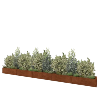 Corten steel planter XXL - Rectangle - 500 x 40 x 30 cm - With bottom plate