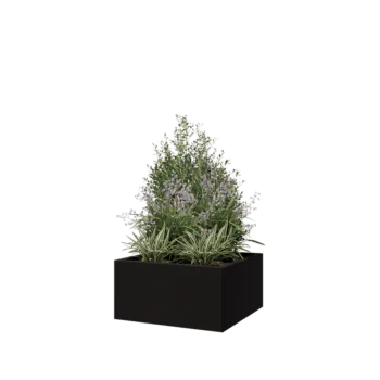 Steel planter - Square - 60 x 60 x 30 cm - RAL9005 matt (black) - With bottom plate