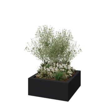 Fibreglass planter - Square - 100 x 100 x 40 cm - RAL7021 matt (black grey) - With bottom
