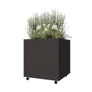 Steel planter - Square - 80 x 80 x 80 cm - Other RAL colour - With bottom plate - With wheels