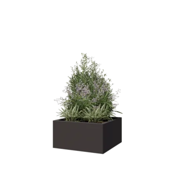Steel planter - Square - 60 x 60 x 30 cm - RAL7016 matt (anthracite grey) - With bottom plate