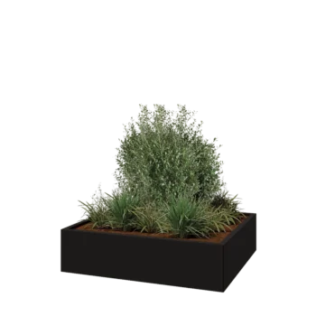 Steel planter - Rectangle - 120 x 100 x 30 cm - RAL9005 matt (black) - Without bottom plate