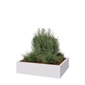 Steel planter - Rectangle - 120 x 100 x 30 cm - RAL9005 matt (white) - Without bottom plate