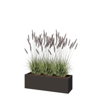 Steel planter - Rectangle - 100 x 30 x 30 cm - RAL7016 matt (anthracite grey) - With bottom plate