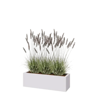 Steel planter - Rectangle - 100 x 30 x 30 cm - RAL9005 matt (white) - Without bottom plate