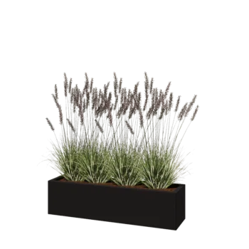 Steel planter - Rectangle - 120 x 30 x 30 cm - RAL9005 matt (black) - With bottom plate