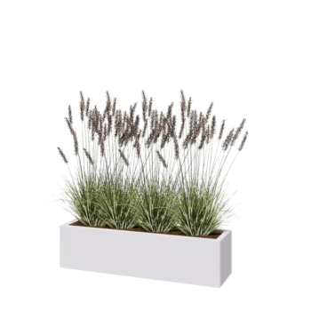 Steel planter - Rectangle - 120 x 30 x 30 cm - RAL9005 matt (white) - With bottom plate