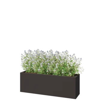 Steel planter - Rectangle - 120 x 30 x 40 cm - RAL7016 matt (anthracite grey) - Without bottom plate
