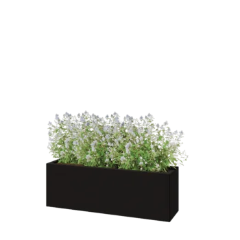 Steel planter - Rectangle - 120 x 30 x 40 cm - RAL9005 matt (black) - With bottom plate