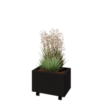 Steel planter - Rectangle - 50 x 30 x 30 cm - RAL9005 matt (black) - With bottom plate - With wheels