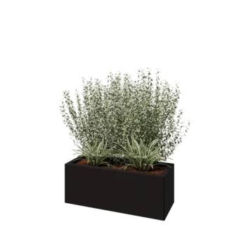 Steel planter - Rectangle - 80 x 30 x 30 cm - RAL9005 matt (black) - Without bottom plate