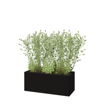 Steel planter - Rectangle - 100 x 40 x 40 cm - RAL9005 matt (black) - With bottom plate