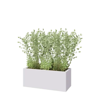 Steel planter - Rectangle - 100 x 40 x 40 cm - RAL9005 matt (white) - With bottom plate