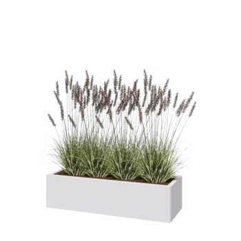 Steel planter - Rectangle - 120 x 40 x 30 cm - RAL9005 matt (white) - Without bottom plate