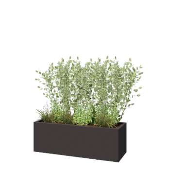 Steel planter - Rectangle - 120 x 40 x 40 cm - RAL7016 matt (anthracite grey) - Without bottom plate