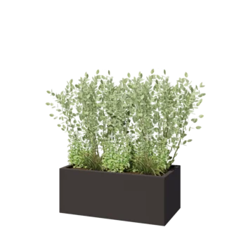 Steel planter - Rectangle - 100 x 50 x 40 cm - RAL7016 matt (anthracite grey) - With bottom plate