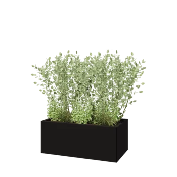 Steel planter - Rectangle - 100 x 50 x 40 cm - RAL9005 matt (black) - Without bottom plate