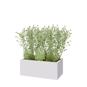 Steel planter - Rectangle - 100 x 50 x 40 cm - RAL9005 matt (white) - Without bottom plate