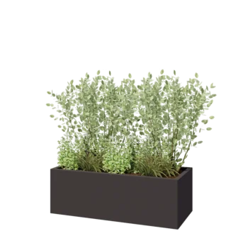 Steel planter - Rectangle - 120 x 50 x 40 cm - RAL7016 matt (anthracite grey) - With bottom plate