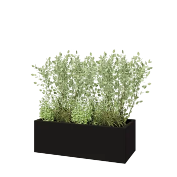 Steel planter - Rectangle - 120 x 50 x 40 cm - RAL9005 matt (black) - Without bottom plate