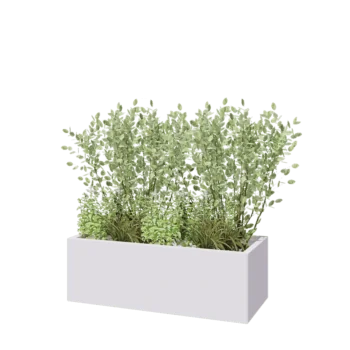 Steel planter - Rectangle - 120 x 50 x 40 cm - RAL9005 matt (white) - Without bottom plate