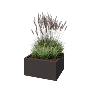 Steel planter - Rectangle - 60 x 50 x 30 cm - RAL7016 matt (anthracite grey) - With bottom plate