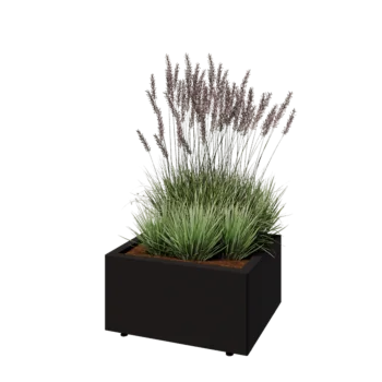 Steel planter - Rectangle - 60 x 50 x 30 cm - RAL9005 matt (black) - With bottom plate - With legs