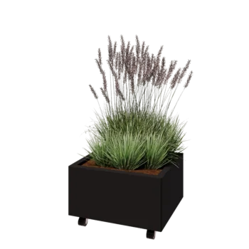 Steel planter - Rectangle - 60 x 50 x 30 cm - RAL9005 matt (black) - With bottom plate - With wheels