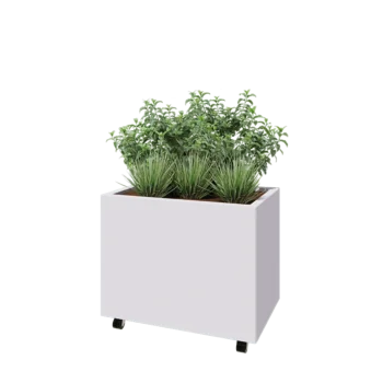 Steel planter - Rectangle - 80 x 50 x 60 cm - RAL9005 matt (white) - With bottom plate - With wheels