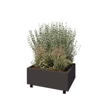 Steel planter - Rectangle - 80 x 60 x 30 cm - RAL7016 matt (anthracite grey) - With bottom plate - With wheels