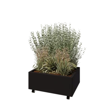 Steel planter - Rectangle - 80 x 60 x 30 cm - RAL9005 matt (black) - With bottom plate - With wheels