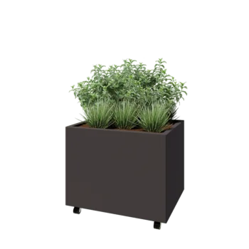 Steel planter - Rectangle - 80 x 60 x 60 cm - Other RAL colour - With bottom plate - With wheels